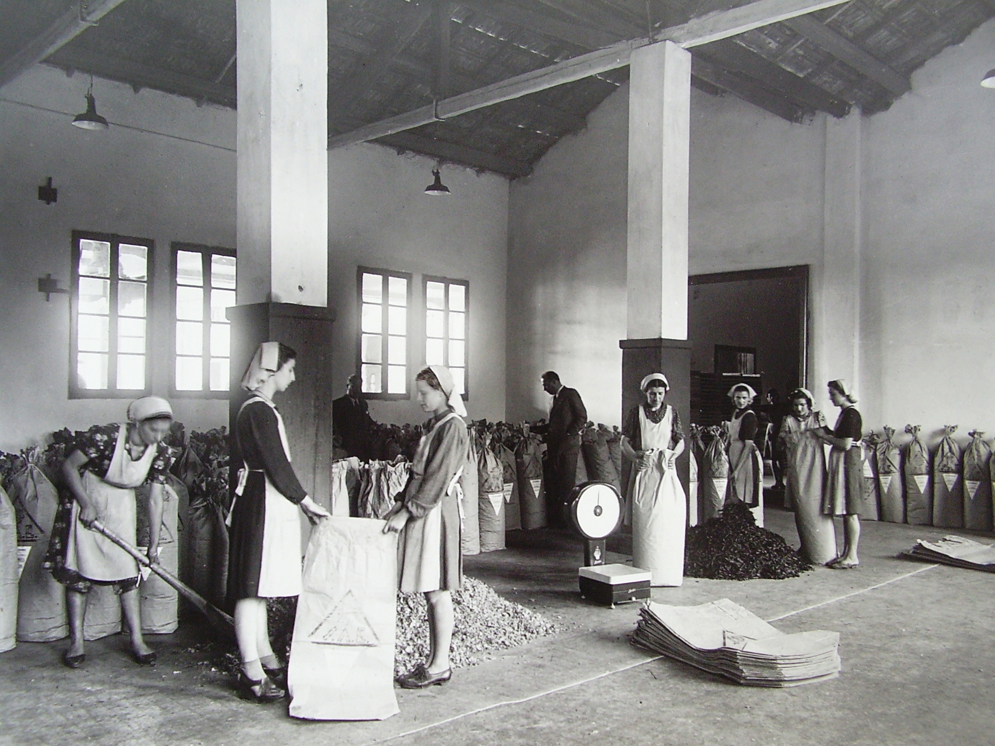 Erboris foto storica Operatrici nello stabilimento, foto d'archivio