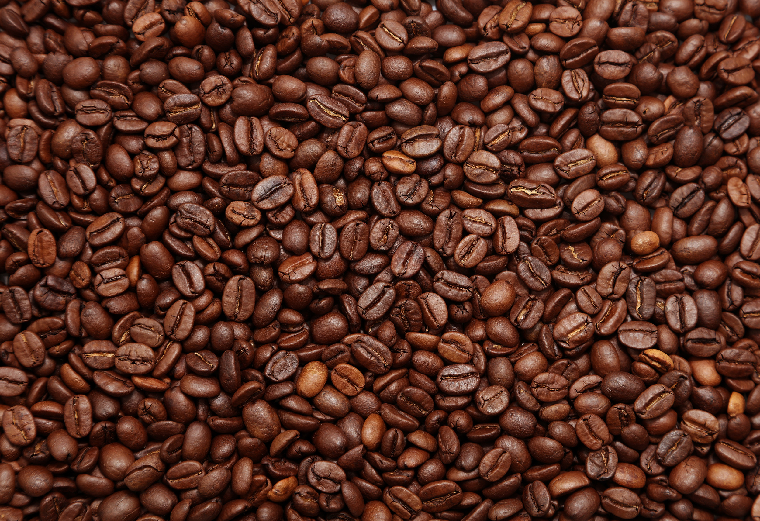 Caffè in grani