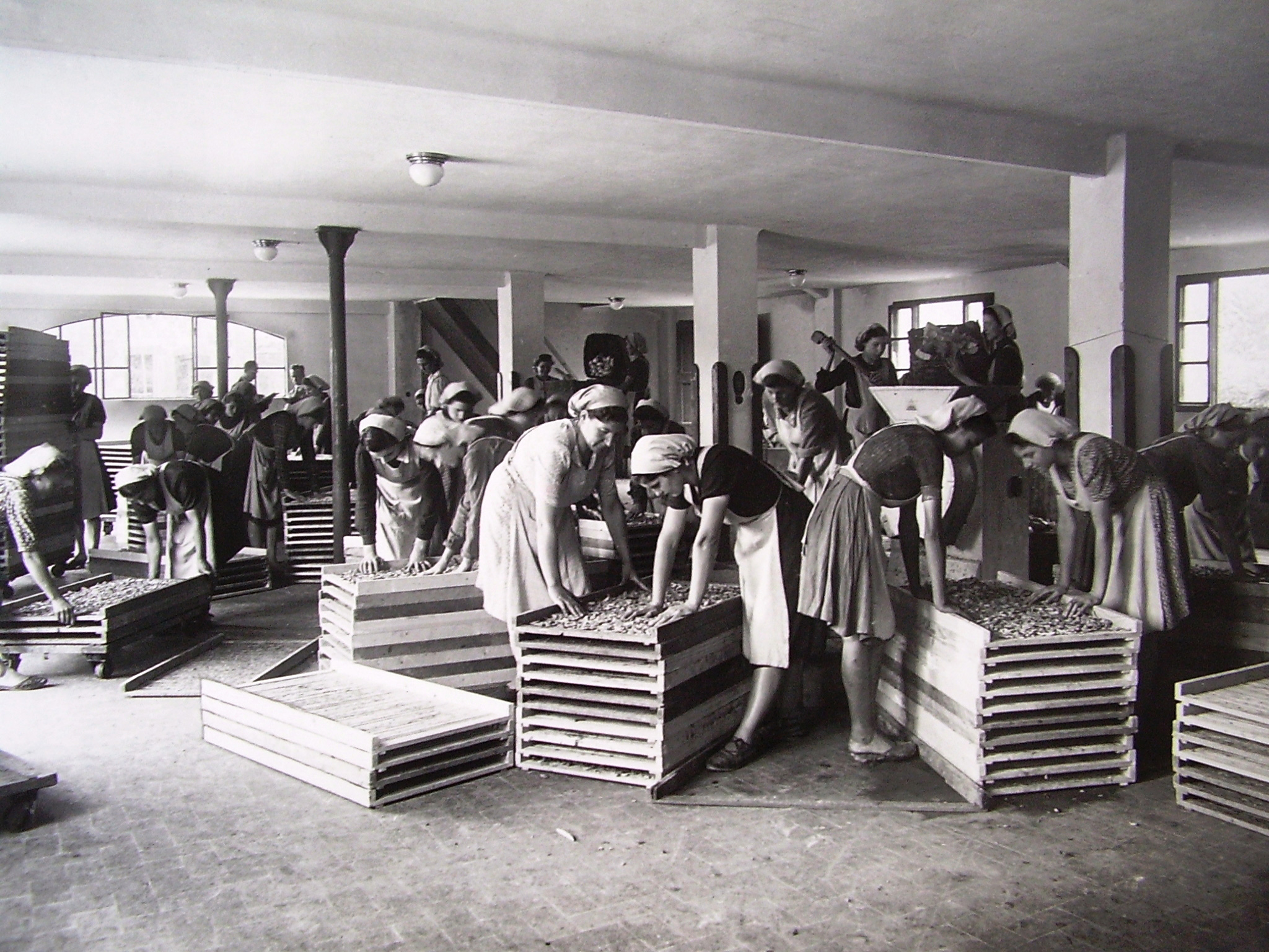 Foto storica in bianco e nero delle lavoratrici nello stabilimento Pellini