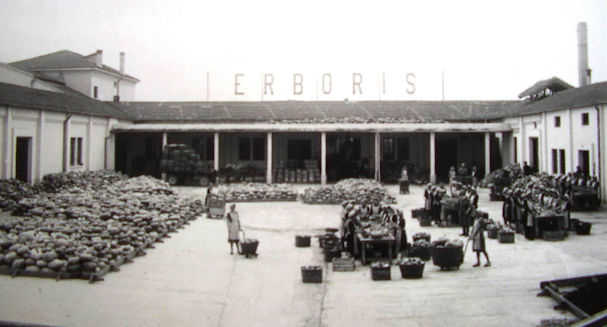 Erboris storia Foto storica fabbrica Erboris