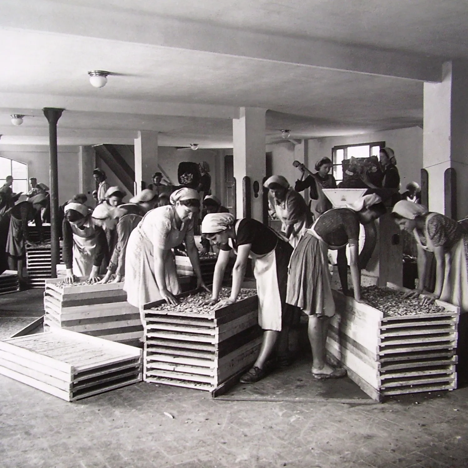 Foto storica stabilimento Pellini Verona Foto storica delle lavoratrici nello stabilimento Pellini