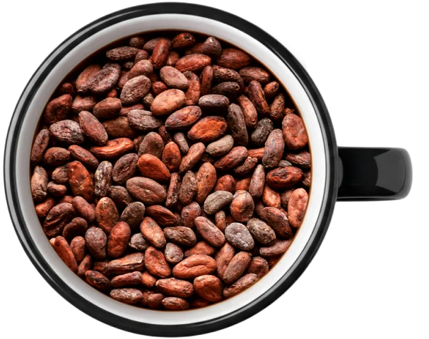 Tazza con fave di cacao